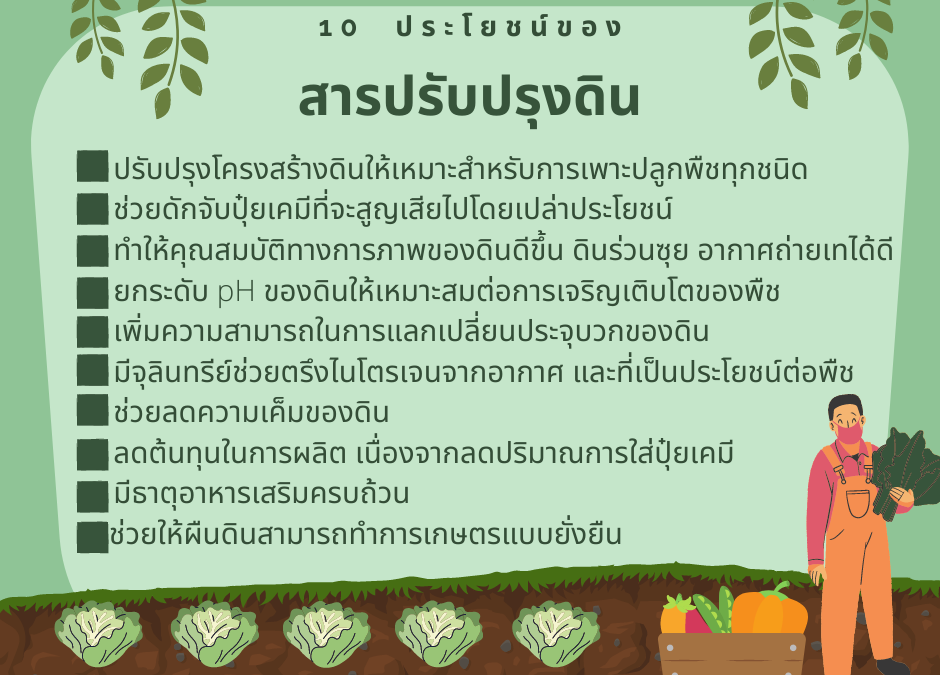 10 ประโยชน์ของสารปรับปรุงดิน