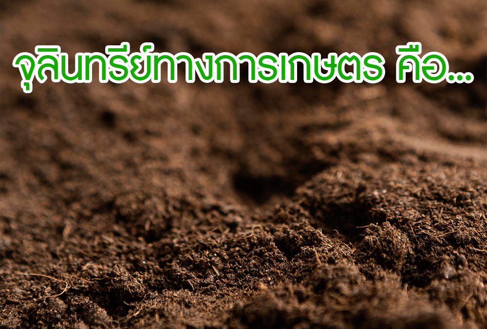 จุลินทรีย์ทางการเกษตร