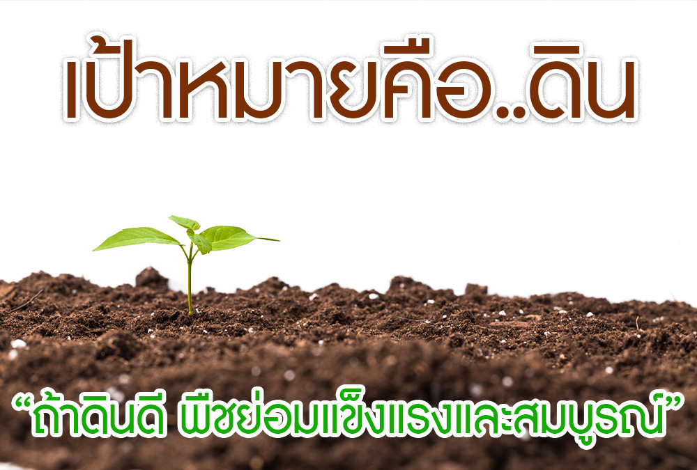 เป้าหมาย คือ …. ดิน