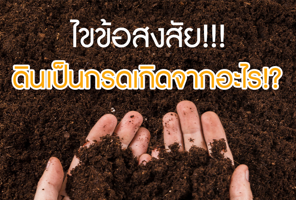 ไขข้อสงสัย! ดินเป็นกรดเกิดจากอะไร!?